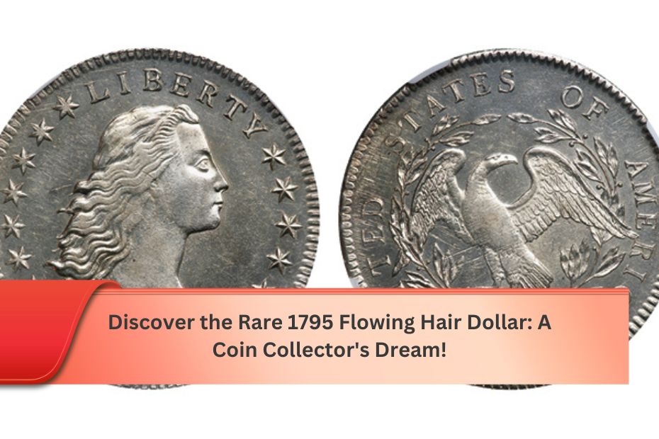 Discover the Rare 1795 Flowing Hair Dollar: A Coin Collector's Dream!